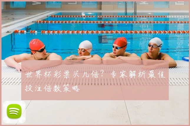 世界杯彩票买几倍?专家解析最佳投注倍数策略