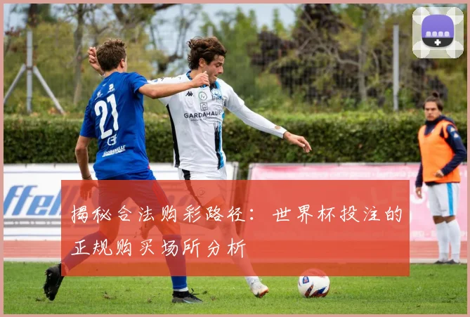 揭秘合法购彩路径：世界杯投注的正规购买场所分析