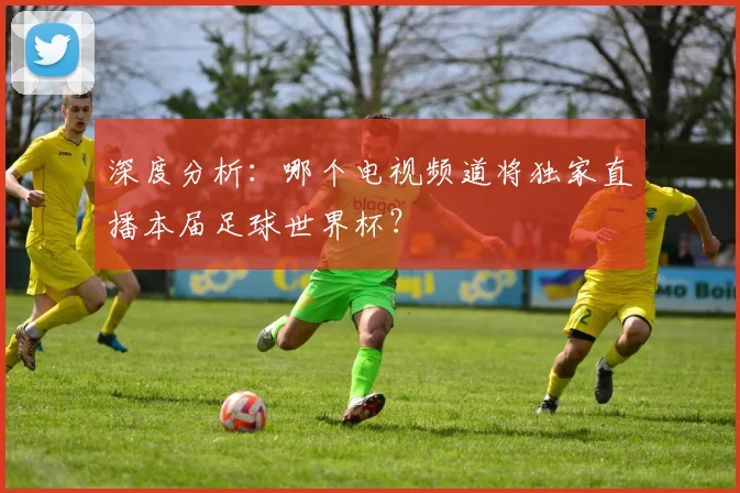 深度分析：哪个电视频道将独家直播本届足球世界杯？