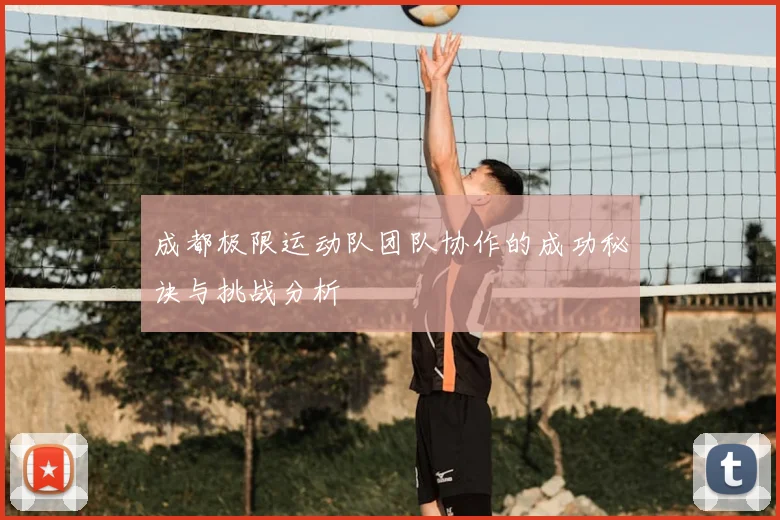 成都极限运动队团队协作的成功秘诀与挑战分析