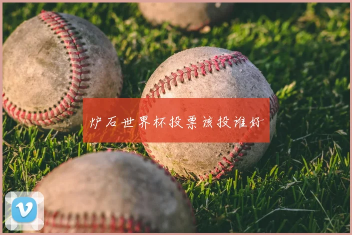 炉石世界杯投票该投谁好
