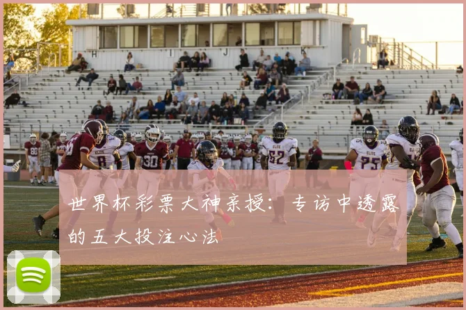 世界杯彩票大神亲授:专访中透露的五大投注心法