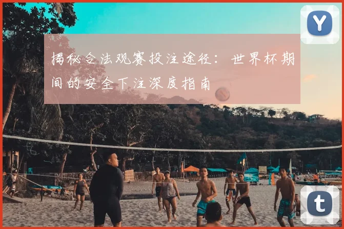 揭秘合法观赛投注途径：世界杯期间的安全下注深度指南