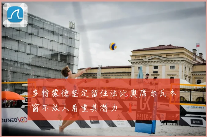 多特蒙德坚定留住法比奥席尔瓦冬窗不放人看重其潜力