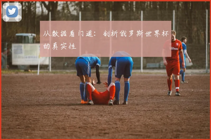从数据看门道：剖析俄罗斯世界杯的真实性