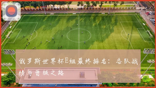 俄罗斯世界杯E组最终排名:各队战绩与晋级之路