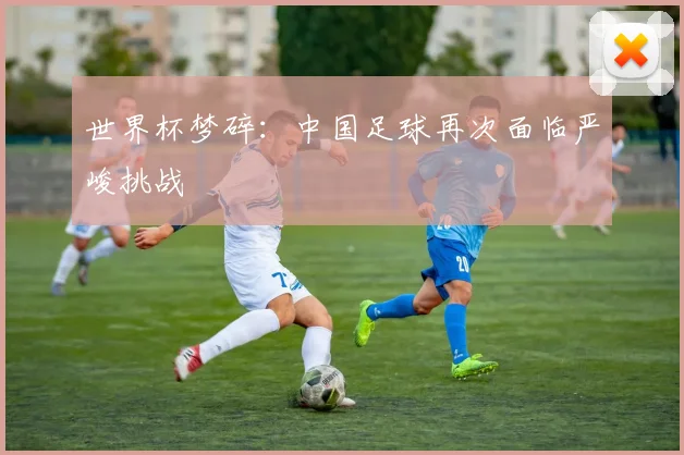 世界杯梦碎:中国足球再次面临严峻挑战