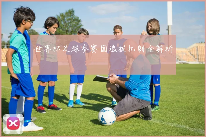 世界杯足球参赛国选拔机制全解析
